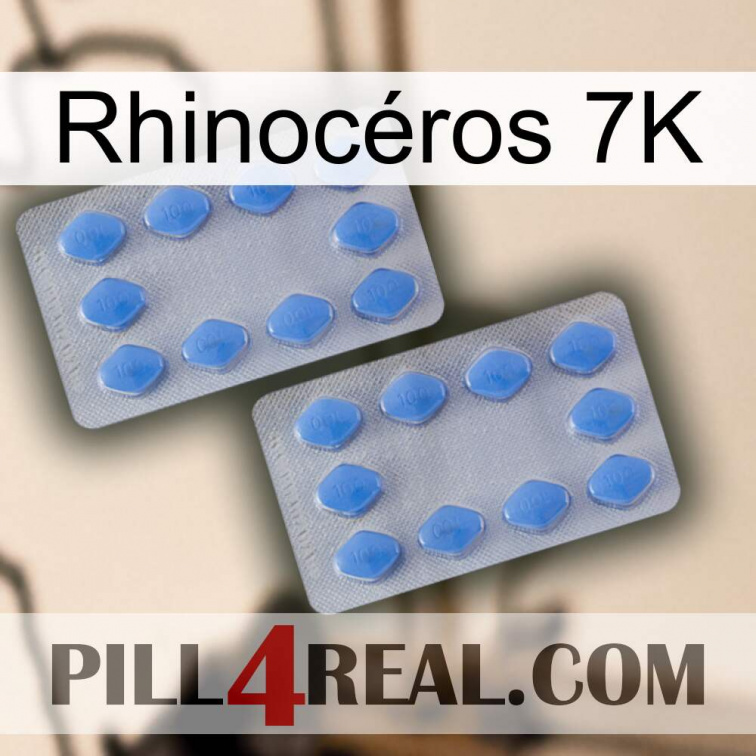Rhinocéros 7K 20